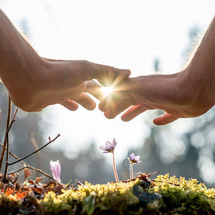 Introduction: Journey Back To You crystal blog